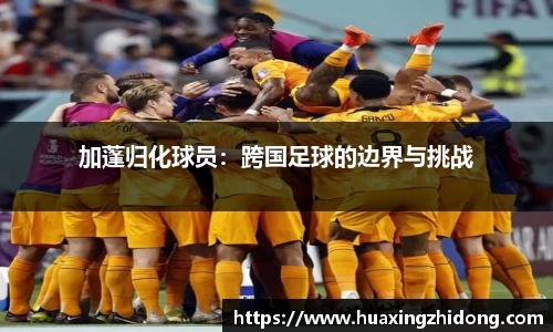 皇冠体育官方app